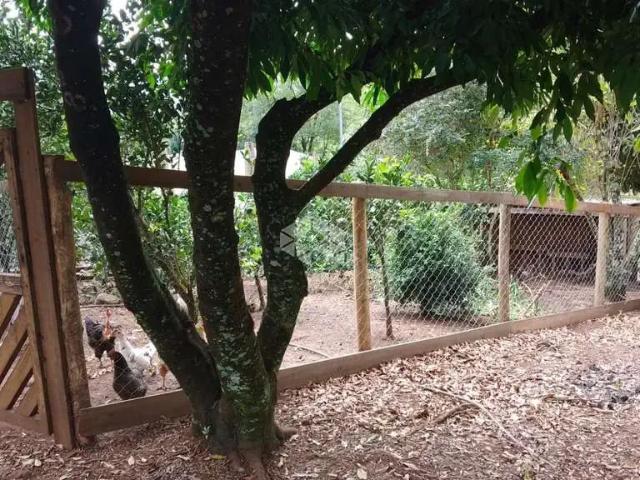 Sítio e chácara venda em Itati