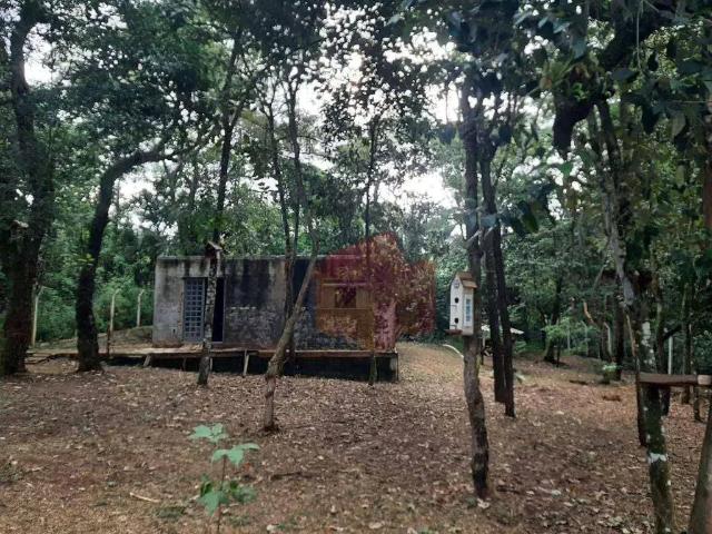 Sítio e chácara venda em Região Imediata de São Carlos, Itirapina