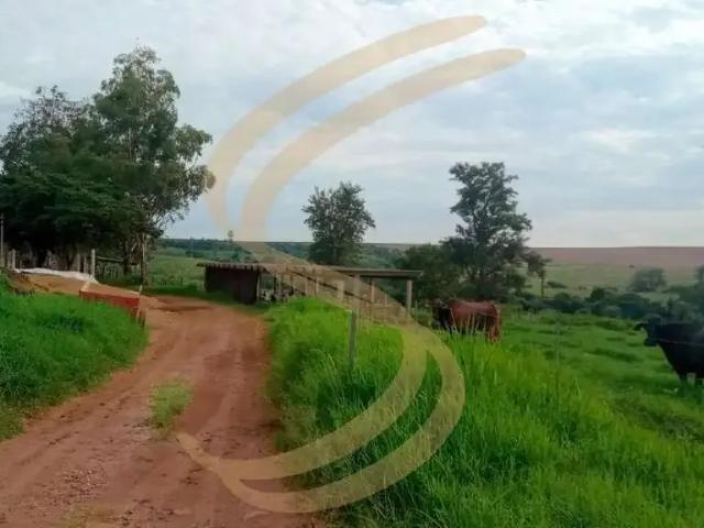 Sítio e chácara venda em Região Imediata de São José do Rio Pardo-Mococa, Itobi