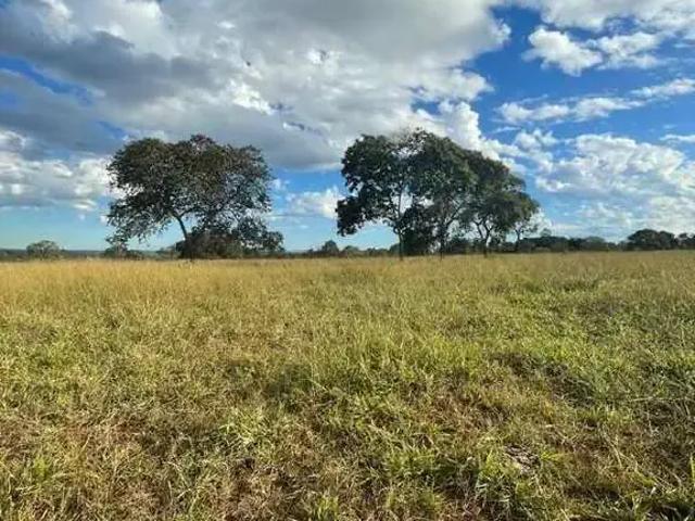 Sítio e chácara venda em Região Geográfica Imediata de Ituiutaba, Ituiutaba