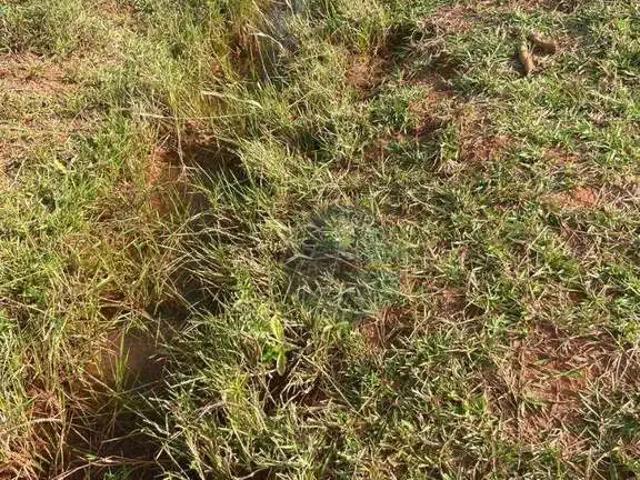 Sítio e chácara venda em Região Geográfica Imediata de Ituiutaba, Ituiutaba