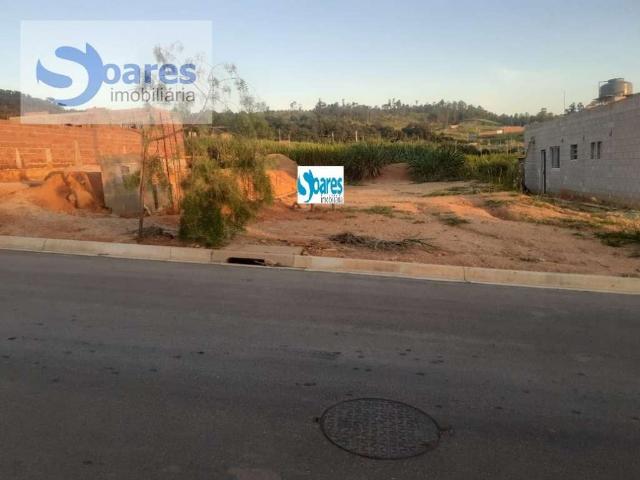 Sítio e chácara venda em Região Imediata de Itapeva, Itapeva