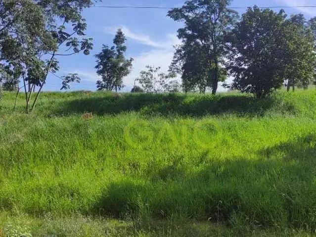Sítio e chácara venda em Região Imediata de Itapeva, Itapeva