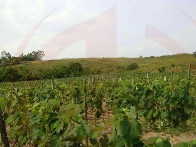 Sítio e chácara venda em Região Imediata de Jundiaí, Itupeva
