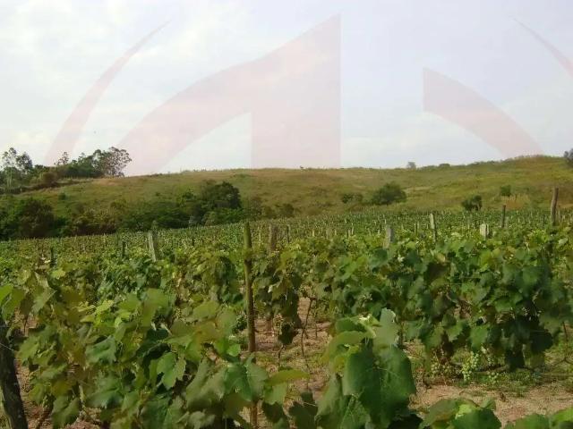 Sítio e chácara venda em Região Imediata de Jundiaí, Itupeva