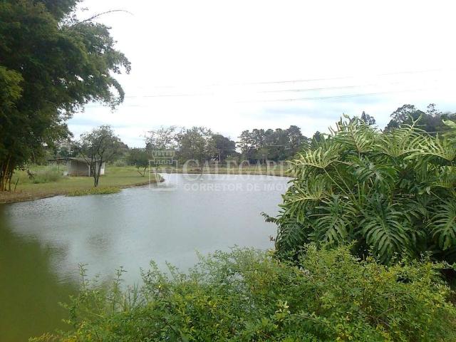 Sítio e chácara venda em Itapeva