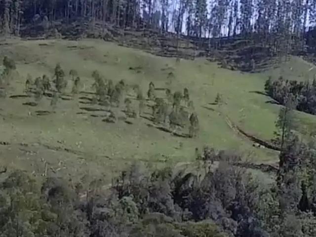 Sítio e chácara venda em Ituporanga, Região Sul