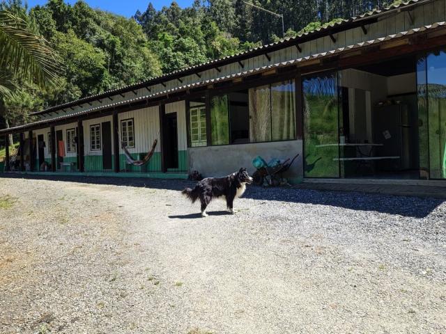 Sítio e chácara venda em Ituporanga, Região Sul