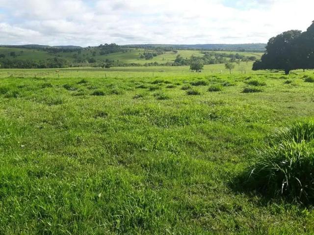 Sítio e chácara venda em Região Geográfica Imediata de Iturama, Iturama