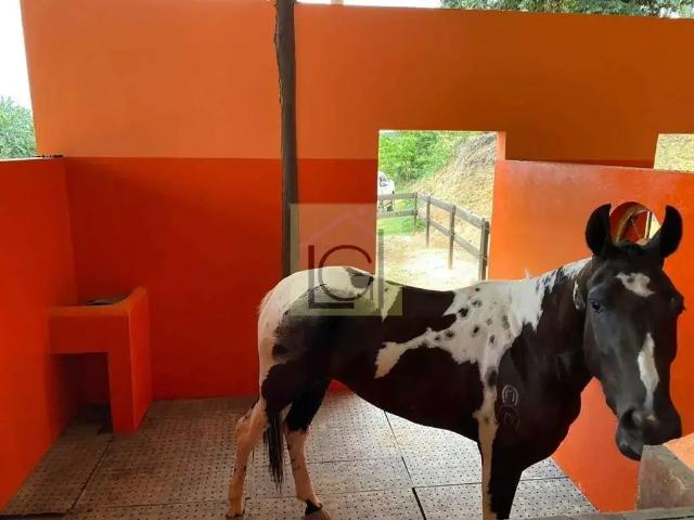 Sítio e chácara venda em Região Imediata de Sorocaba, Região Metropolitana de Sorocaba