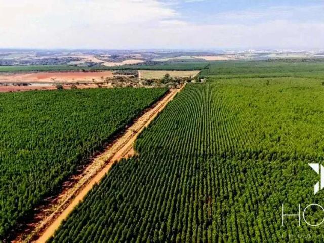 Sítio e chácara venda em Região Imediata de Sorocaba, Região Metropolitana de Sorocaba