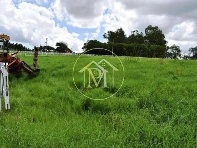 Sítio e chácara venda em Região Imediata de São José do Rio Preto, Região Metropolitana de São José do Rio Preto
