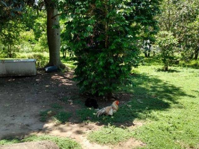 Sítio e chácara venda em Região Imediata de Sorocaba, Região Metropolitana de Sorocaba