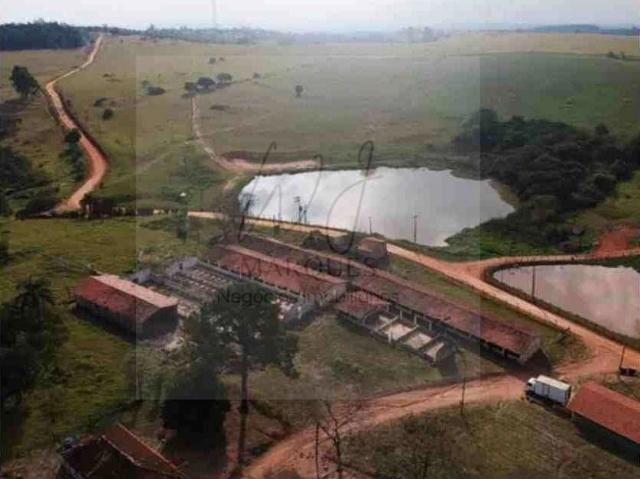 Sítio e chácara venda em Molina, Cabreúva