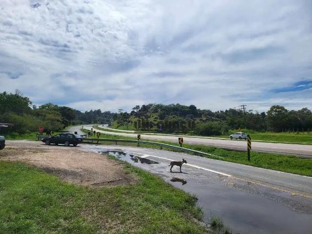 Sítio e chácara venda em Região Imediata de Guaratinguetá, Região Metropolitana do Vale do Paraíba e Litoral Norte