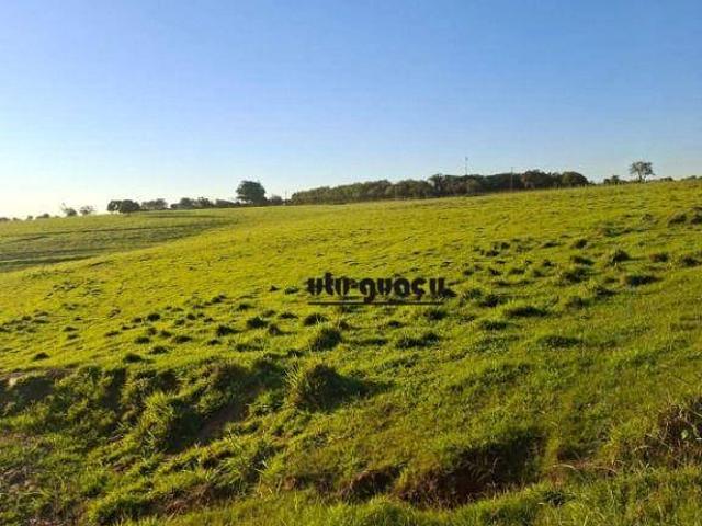 Sítio e chácara venda em Itu