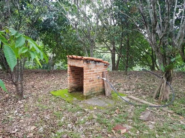 Sítio e chácara venda em Região Imediata de Barretos, Região Metropolitana de Ribeirão Preto