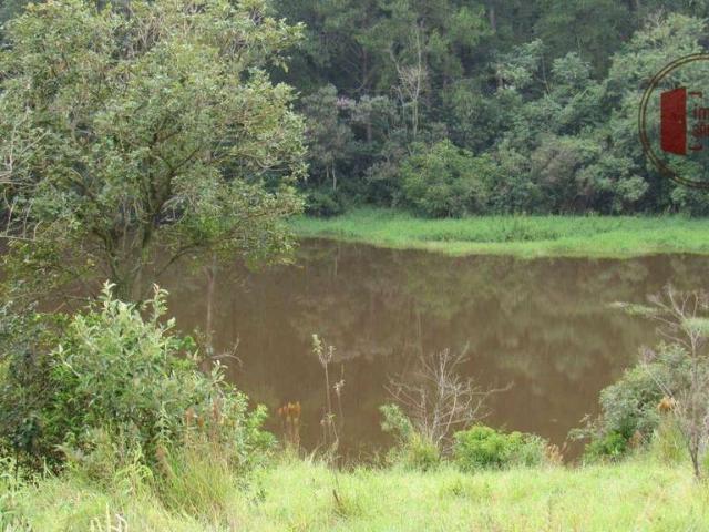 Sítio e chácara venda em Região Imediata de São José do Rio Preto, Região Metropolitana de São José do Rio Preto