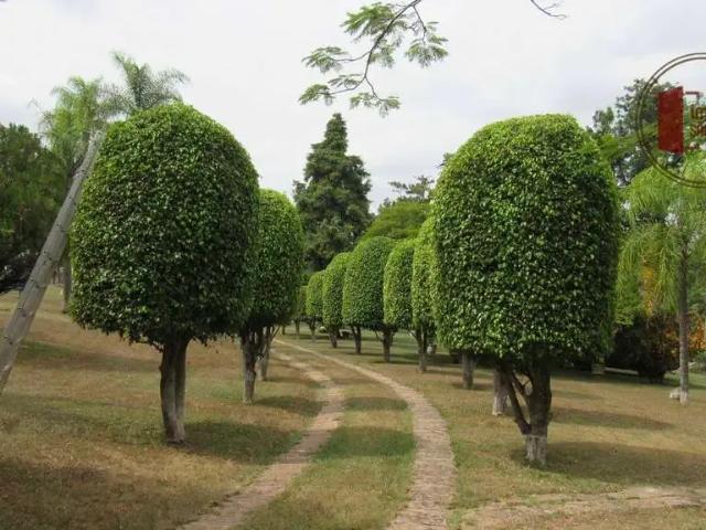 Sítio e chácara venda em Região Imediata de Sorocaba, Região Metropolitana de Sorocaba