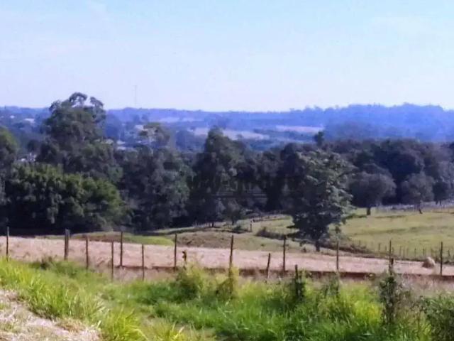 Sítio e chácara venda em Região Imediata de São José do Rio Preto, Região Metropolitana de São José do Rio Preto