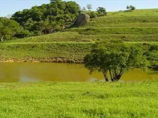 Sítio e chácara venda em Região Imediata de São José do Rio Preto, Região Metropolitana de São José do Rio Preto