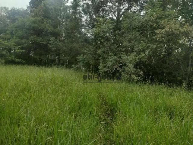 Sítio e chácara venda em Região Imediata de São José do Rio Preto, Região Metropolitana de São José do Rio Preto