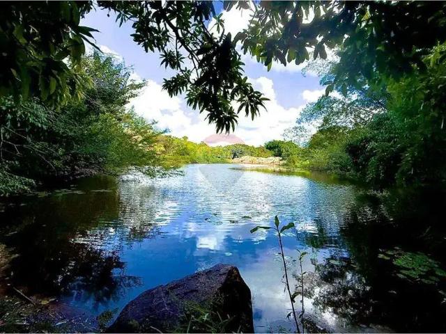 Sítio e chácara venda em Região Geográfica Imediata do Recife, Região Metropolitana do Recife