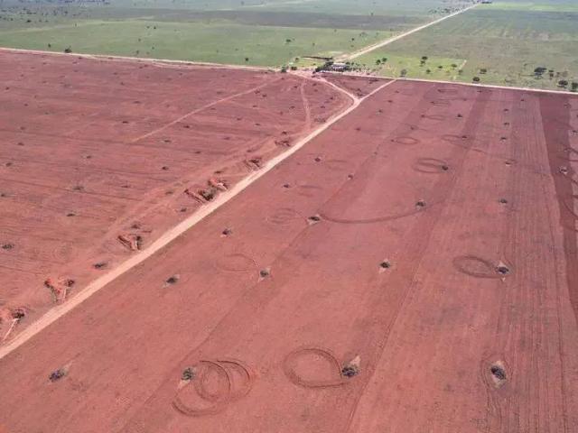 Sítio e chácara venda em Jaborandi, Região Nordeste