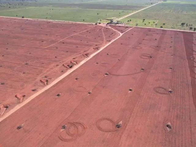 Sítio e chácara venda em Jaborandi, Região Nordeste