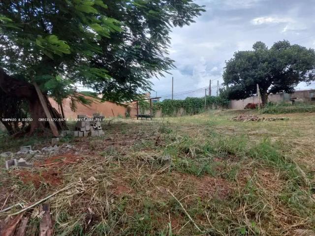 Sítio e chácara venda em Região Geográfica Imediata de Frederico Westphalen, Jaboticaba