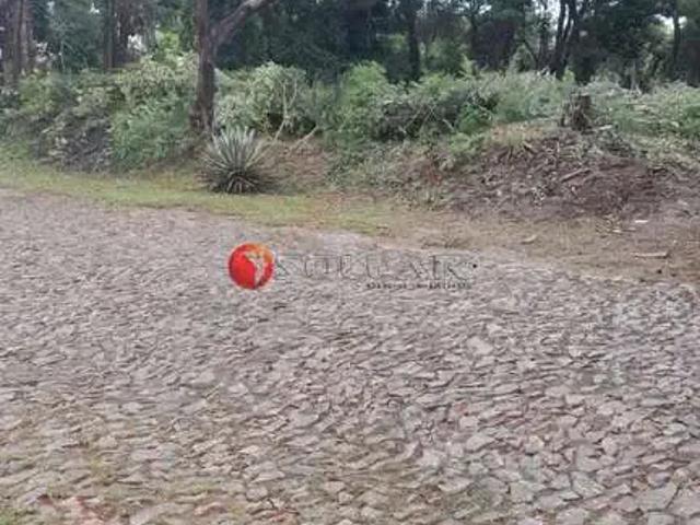 Sítio e chácara venda em Região Geográfica Imediata de Belo Horizonte, Região Metropolitana de Belo Horizonte