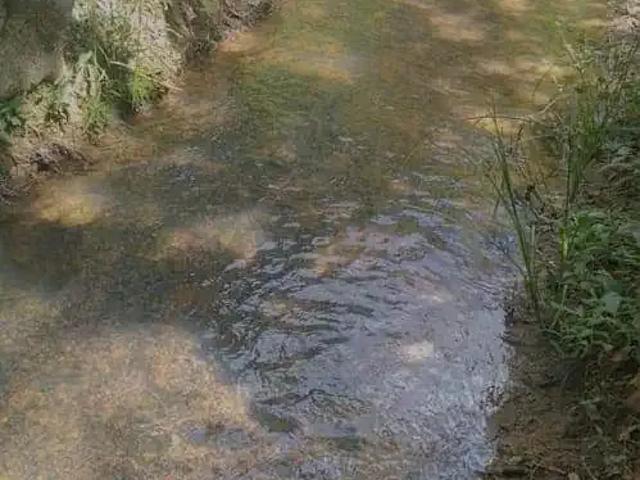 Sítio e chácara venda em Região Geográfica Imediata de Belo Horizonte, Região Metropolitana de Belo Horizonte