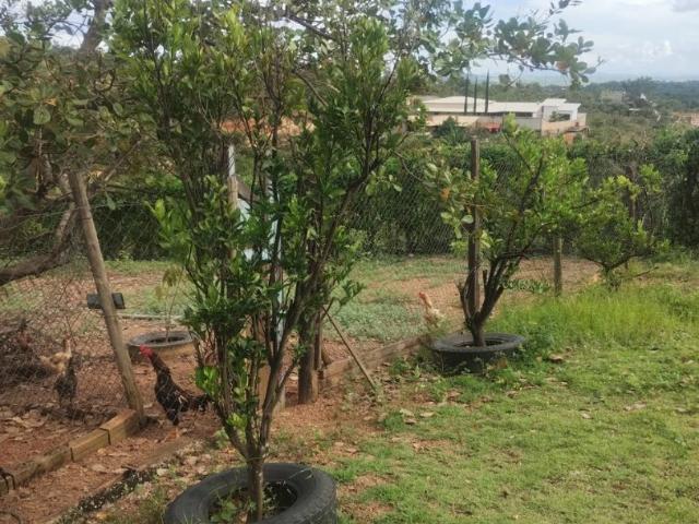 Sítio e chácara venda em Centro, Jaboticatubas