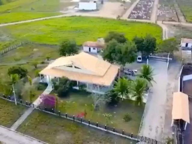 Sítio e chácara venda em Jacaraú, Região Nordeste