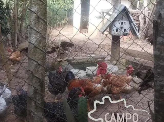 Sítio e chácara venda em Região Imediata de São José dos Campos, Região Metropolitana do Vale do Paraíba e Litoral Norte
