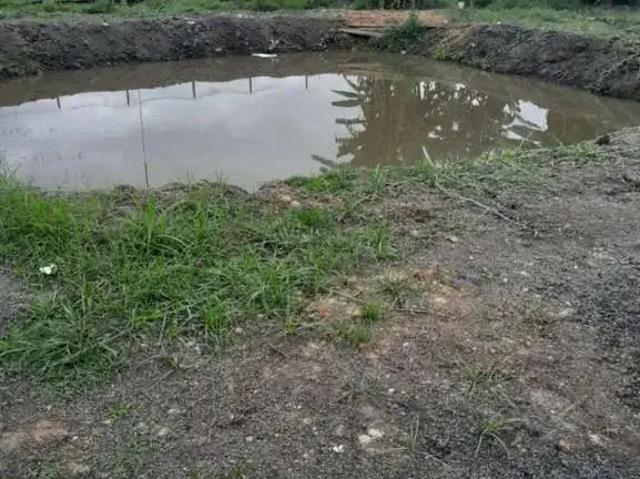 Sítio e chácara venda em Região Imediata de São José dos Campos, Região Metropolitana do Vale do Paraíba e Litoral Norte