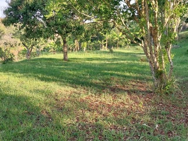 Sítio e chácara venda em Região Imediata de São José dos Campos, Região Metropolitana do Vale do Paraíba e Litoral Norte