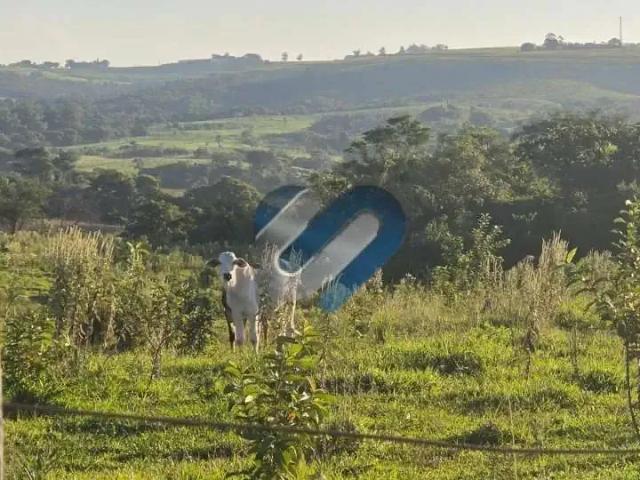 Sítio e chácara venda em Região Geográfica Imediata de Santo Antônio da Platina, Jacarezinho