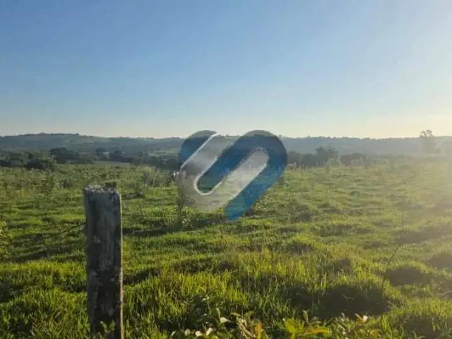 Sítio e chácara venda em Região Geográfica Imediata de Santo Antônio da Platina, Jacarezinho