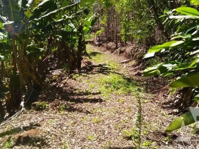 Sítio e chácara venda em Região Geográfica Imediata de Araranguá, Jacinto Machado