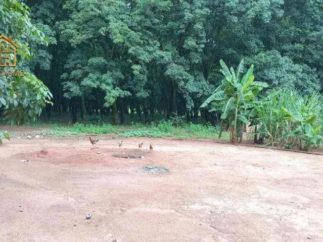 Sítio e chácara venda em Região Imediata de São José do Rio Preto, Região Metropolitana de São José do Rio Preto