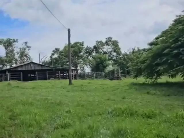 Sítio e chácara venda em Região Imediata de São José do Rio Preto, Região Metropolitana de São José do Rio Preto