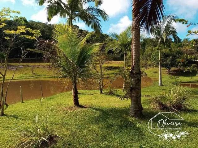 Sítio e chácara venda em Região Imediata de Registro, Jacupiranga