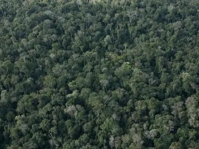 Sítio e chácara venda em Jacupiranga