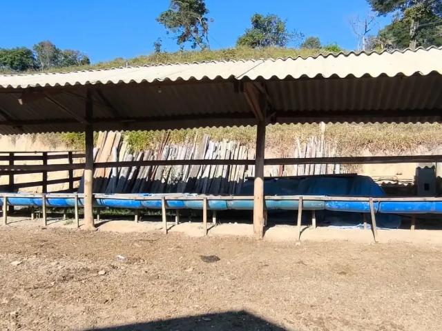 Sítio e chácara venda em Região Geográfica Imediata de Pouso Alegre, Jacutinga
