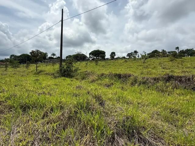 Sítio e chácara venda em Região Geográfica Imediata de Pouso Alegre, Jacutinga