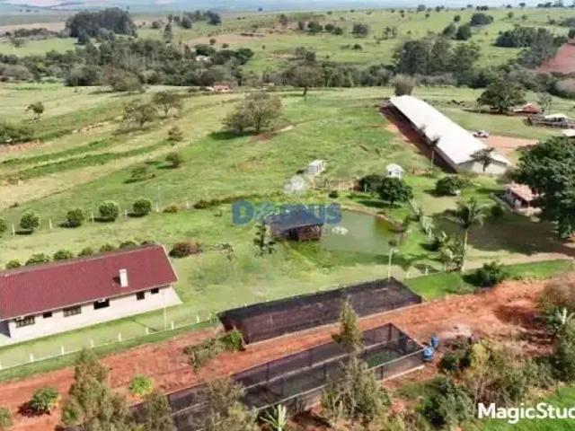 Sítio e chácara venda em Região Geográfica Imediata de Londrina, Jaguapita