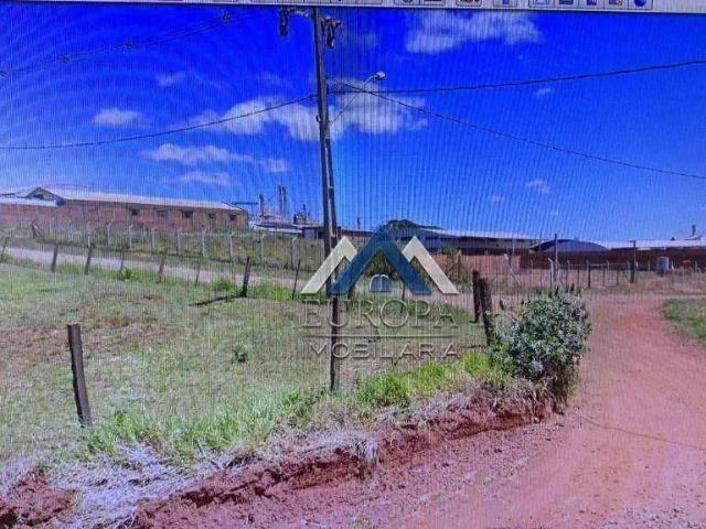 Sítio e chácara venda em Região Geográfica Imediata de Londrina, Jaguapita