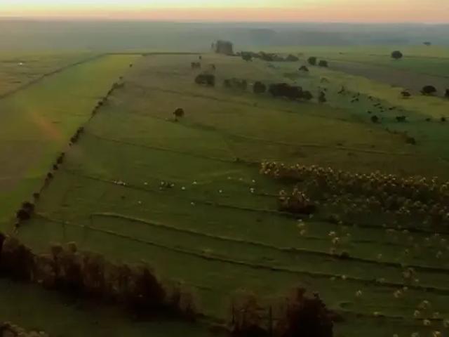 Sítio e chácara venda em Região Geográfica Imediata de Londrina, Jaguapita