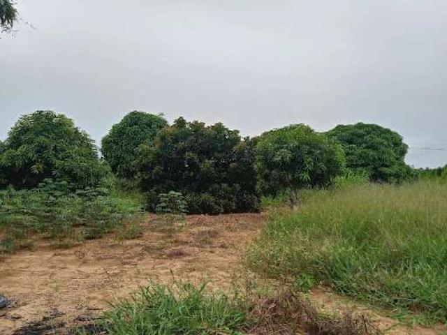 Sítio e chácara venda em Jaguaquara